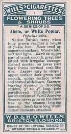 1924 Wills's Flowering Trees & Shrubs #1 White Poplar Back