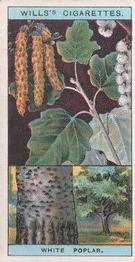 1924 Wills's Flowering Trees & Shrubs #1 White Poplar Front