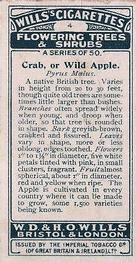 1924 Wills's Flowering Trees & Shrubs #4 Crab Apple Back