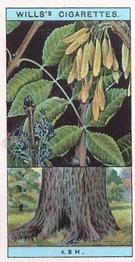 1924 Wills's Flowering Trees & Shrubs #5 Ash Front