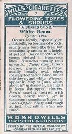 1924 Wills's Flowering Trees & Shrubs #7 White Beam Back