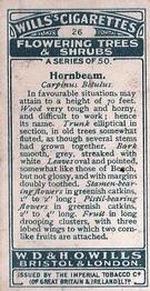 1924 Wills's Flowering Trees & Shrubs #26 Hornbeam Back