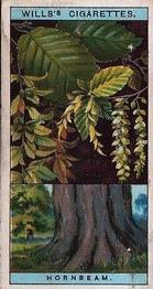 1924 Wills's Flowering Trees & Shrubs #26 Hornbeam Front