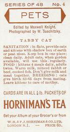 1960 Hornimans Tea Pets #4 Tabby Cat Back