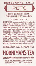 1960 Hornimans Tea Pets #15 Bush Baby Back