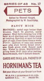 1960 Hornimans Tea Pets #17 Fancy Mice Back