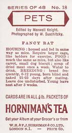 1960 Hornimans Tea Pets #18 Fancy Rat Back
