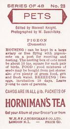 1960 Hornimans Tea Pets #23 Pigeon (Domestic) Back
