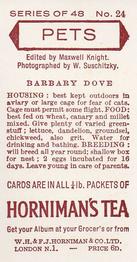 1960 Hornimans Tea Pets #24 Barbary Dove Back