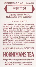1960 Hornimans Tea Pets #35 Tree Frog Back