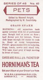 1960 Hornimans Tea Pets #40 Grass Snake Back