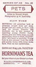 1960 Hornimans Tea Pets #42 Slow Worm Back