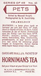 1960 Hornimans Tea Pets #43 Chameleon Back