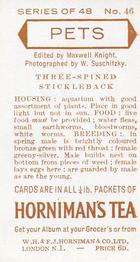 1960 Hornimans Tea Pets #46 Three-Spined Stickleback Back
