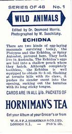 1958 Hornimans Tea Wild Animals #1 Echidna Back