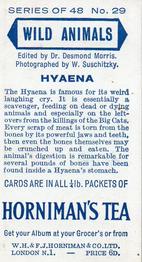 1958 Hornimans Tea Wild Animals #29 Hyaena Back