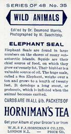 1958 Hornimans Tea Wild Animals #35 Elephant Seal Back