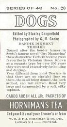 1961 Hornimans Tea Dogs #20 Dandie Dinmont Terrier Back