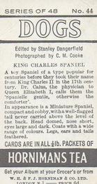 1961 Hornimans Tea Dogs #44 King Charles Spaniel Back