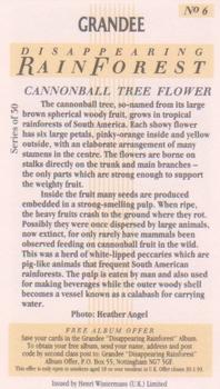 1991 Grandee Disappearing Rainforest #6 Cannonball Tree Flower Back