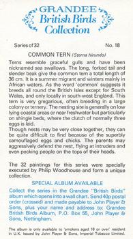 1980 Grandee British Birds Collection #18 Common Tern Back