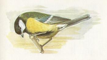 1980 Grandee British Birds Collection #31 Great Tit Front