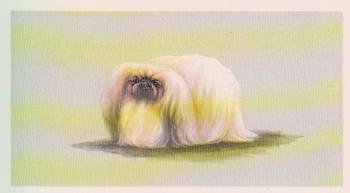 1979 Grandee Top Dogs Collection #9 The Pekingese Front