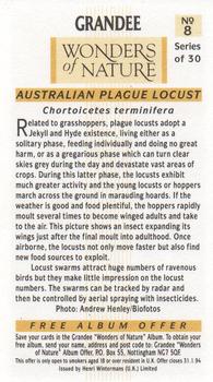 1992 Grandee Wonders of Nature #8 Australian Plague Locust Back
