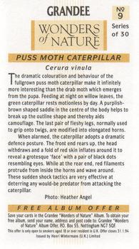 1992 Grandee Wonders of Nature #9 Puss Moth Caterpillar Back