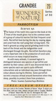 1992 Grandee Wonders of Nature #17 Parrotfish Back