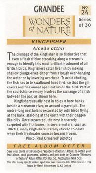 1992 Grandee Wonders of Nature #24 Kingfisher Back