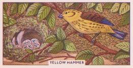 1961 Sunlight Soap British Birds and Their Nests #3 Yellow Hammer Front