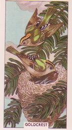 1961 Sunlight Soap British Birds and Their Nests #15 Goldcrest Front