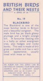 1961 Sunlight Soap British Birds and Their Nests #19 Blackbird Back