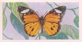 1960 Swettenham Tea Butterflies and Moths #3 Danaus Chrysippus Front