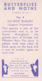 1960 Swettenhams Tea Butterflies and Moths #4 Six-Spot Burnet Back