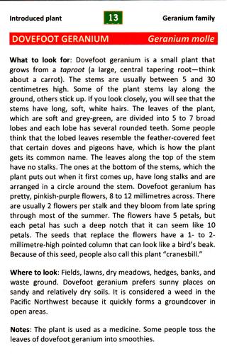 2017 Metchosin Nature Cards #13 dovefoot geranium Back