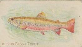 1910 American Tobacco Co. Fish Series (T58) #NNO Albino Brook Trout Front
