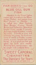 1910 American Tobacco Co. Fish Series (T58) #NNO Blue Gill Sun Fish Back