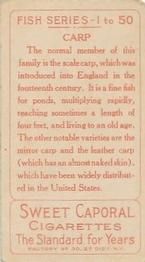 1910 American Tobacco Co. Fish Series (T58) #NNO Carp Back