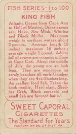 1910 American Tobacco Co. Fish Series (T58) #NNO Kingfish Back
