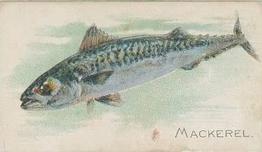1910 American Tobacco Co. Fish Series (T58) #NNO Mackerel Front