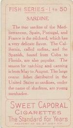 1910 American Tobacco Co. Fish Series (T58) #NNO Sardine Back