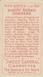 1910 American Tobacco Co. Fish Series (T58) #NNO Short Pompano Back
