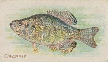 1910 American Tobacco Co. Fish Series (T58) - Sovereign Cigarettes Factory 25 #NNO Crappie Front