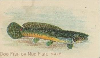 1910 American Tobacco Co. Fish Series (T58) - Sovereign Cigarettes Factory 25 #NNO Dog Fish or Mud Fish Male Front