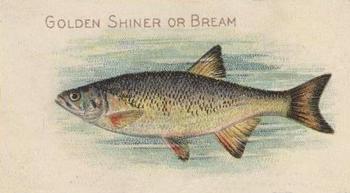 1910 American Tobacco Co. Fish Series (T58) - Sovereign Cigarettes Factory 25 #NNO Golden Shiner Front