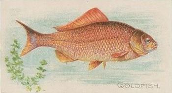 1910 American Tobacco Co. Fish Series (T58) - Sovereign Cigarettes Factory 25 #NNO Goldfish Front