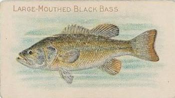 1910 American Tobacco Co. Fish Series (T58) - Sovereign Cigarettes Factory 25 #NNO Large Mouthed Black Bass Front