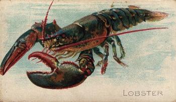 1910 American Tobacco Co. Fish Series (T58) - Sovereign Cigarettes Factory 25 #NNO Lobster Front